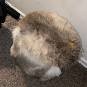 This is a fluffy chair
